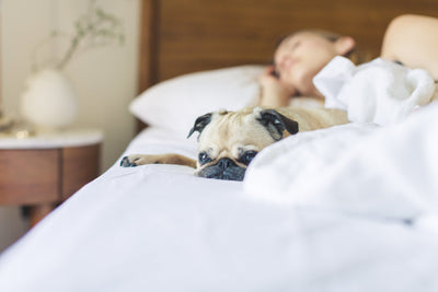 Better Sleep