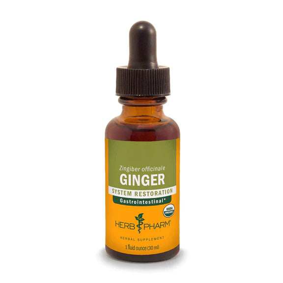 Ginger Tincture