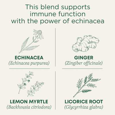 Immune Zoom® Lemon Ginger Echinacea Tea