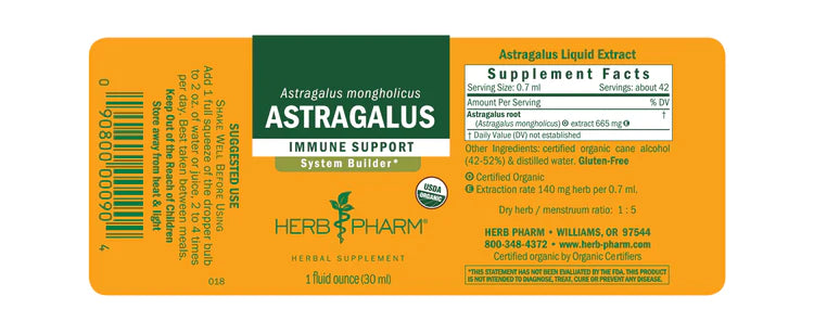 Astragalus