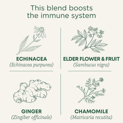 Echinacea Plus® Elderberry Tea