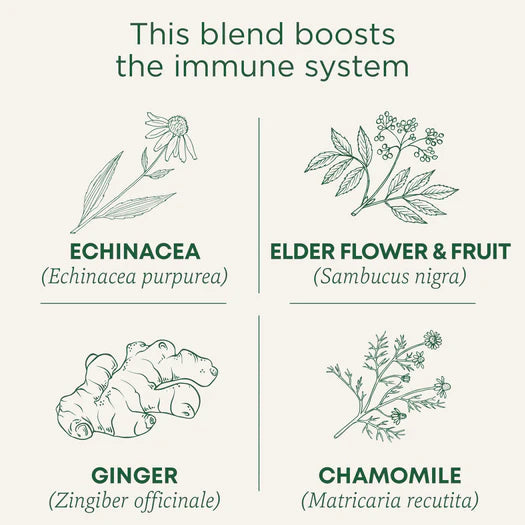 Echinacea Plus® Elderberry Tea