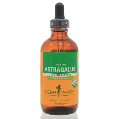 Astragalus