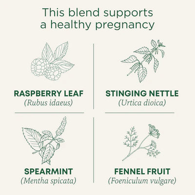 Pregnancy® Tea