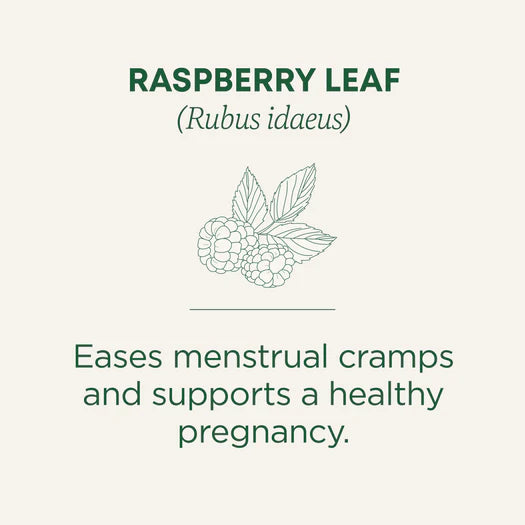 Raspberry Leaf Tea