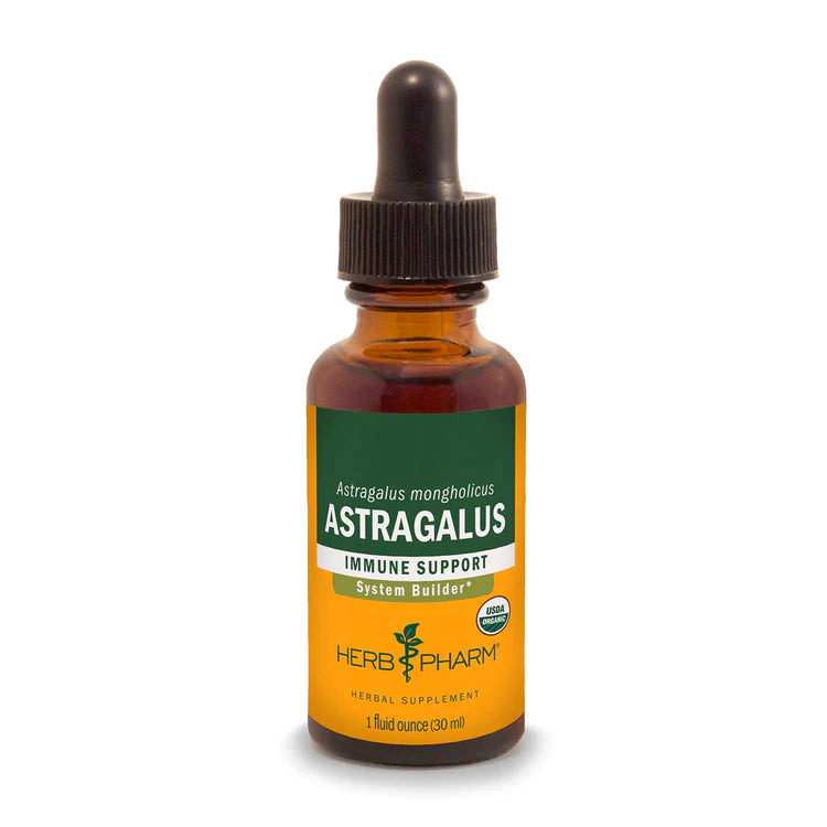 Astragalus
