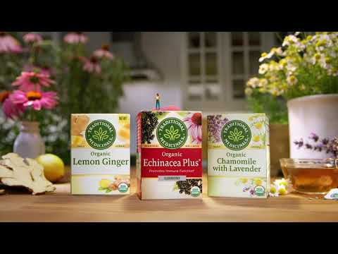 Echinacea Plus® Tea