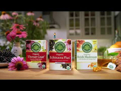 Echinacea Plus® Elderberry Tea